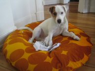 Das ist Emma!